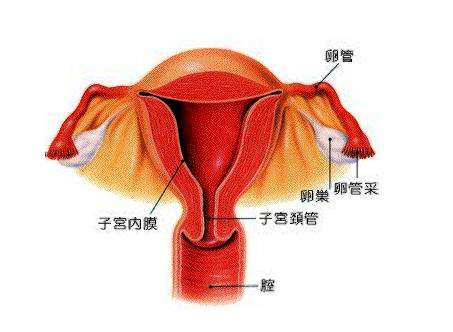 慢性,急性子宫内膜炎的区别治疗