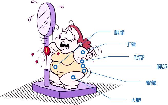 新陈代谢慢的卡通图片图片